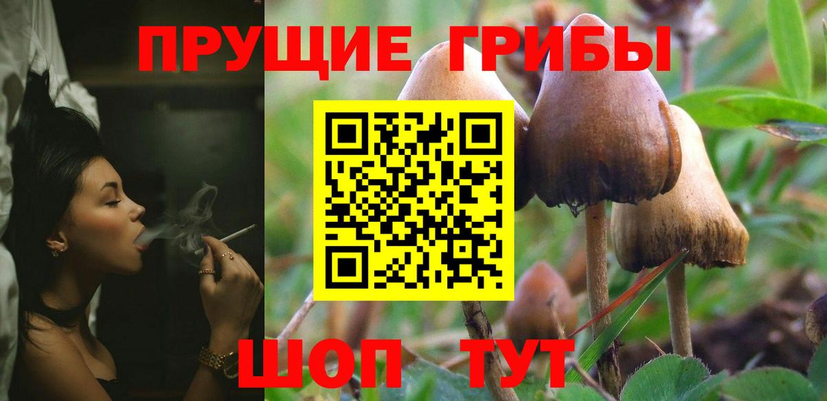 Псилоцибиновые грибы мицелий  Вход с VPN  Мелеуз  Галлюциногенные грибы GOLDEN TEACHER 